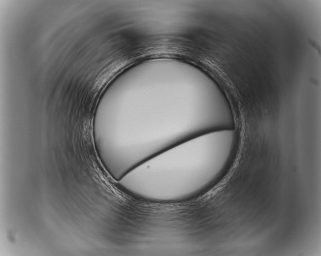X0000101121121200806261038