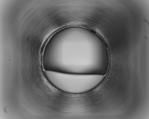 X0000101121124200806261039