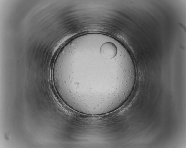 X0000101121125200806261039