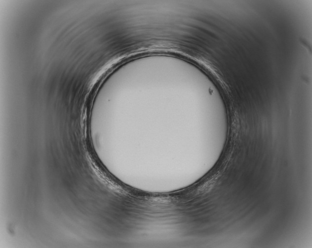 X0000101121126200806261039