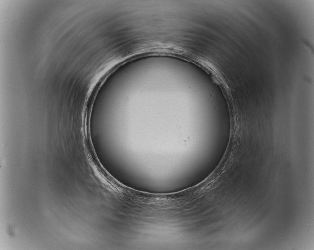 X0000101121128200806261039