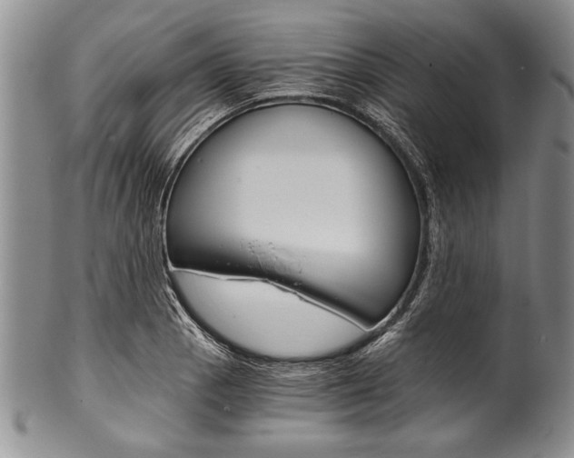 X0000101121129200806261039