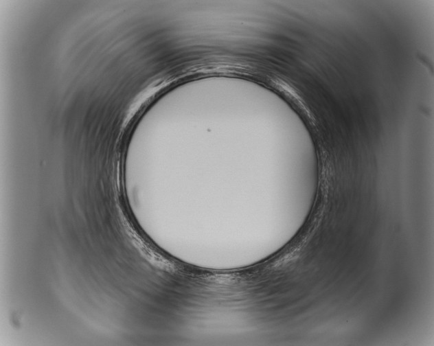X0000101121130200806261039