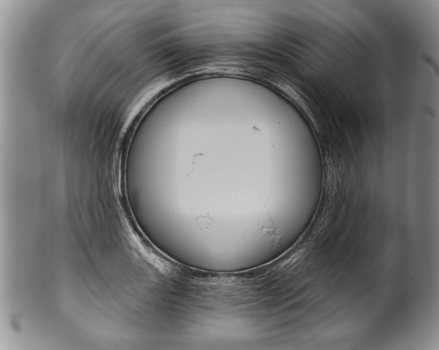 X0000101121131200806261039