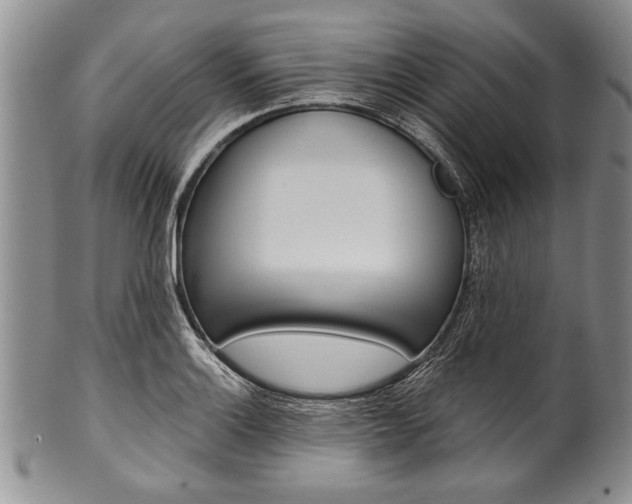 X0000101121132200806261039