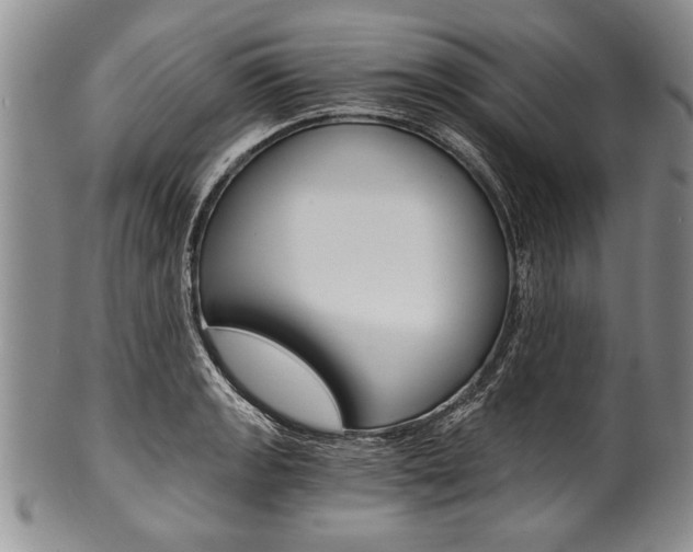 X0000101121133200806261039