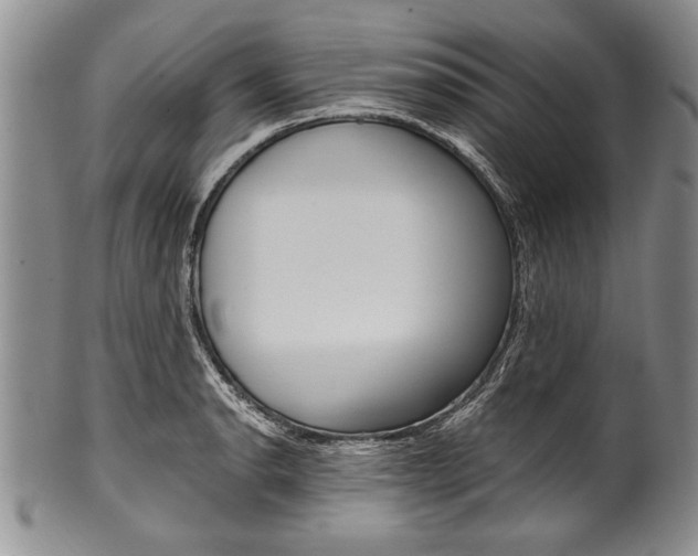 X0000101121134200806261039