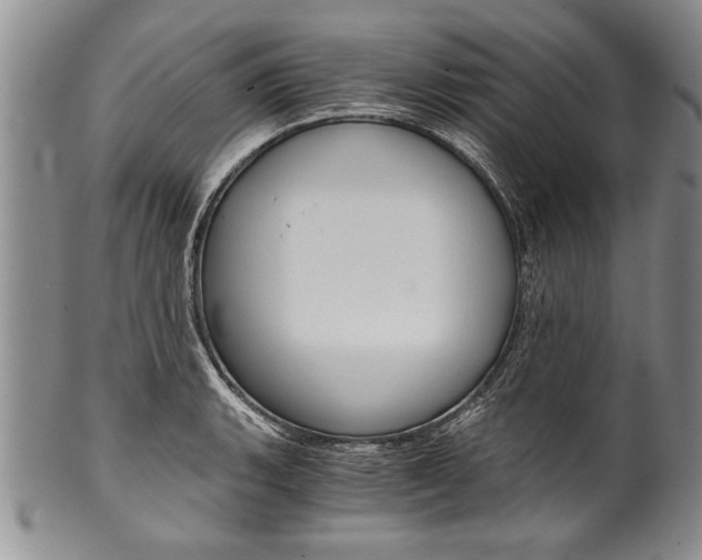X0000101121135200806261039