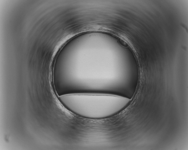 X0000101121136200806261039