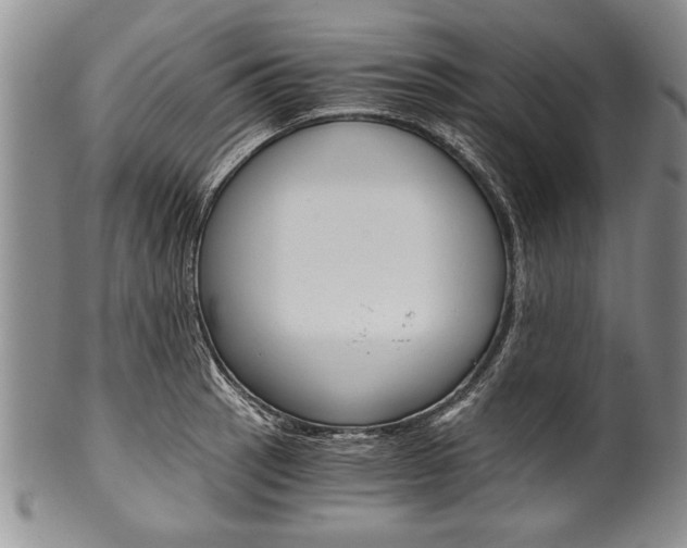 X0000101121137200806261039