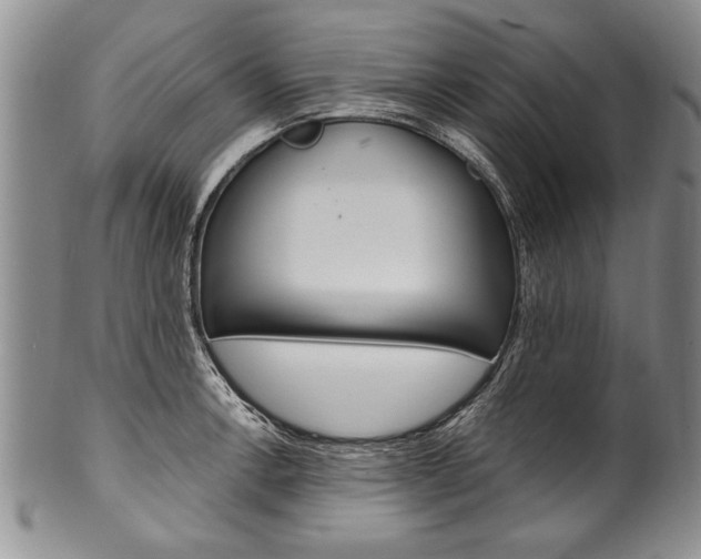 X0000101121138200806261039