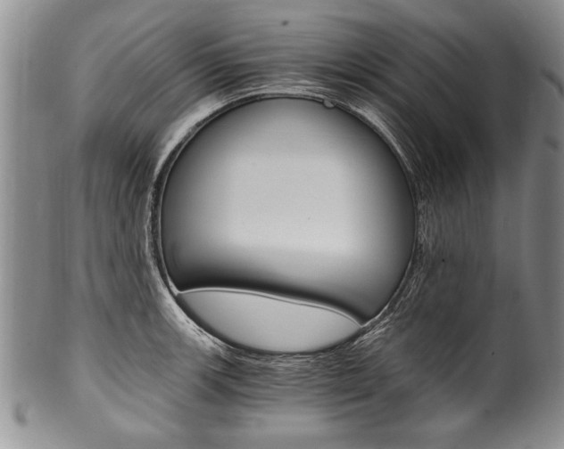 X0000101121139200806261039