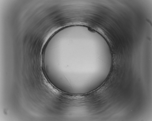 X0000101121140200806261039