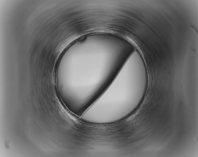X0000101121141200806261039