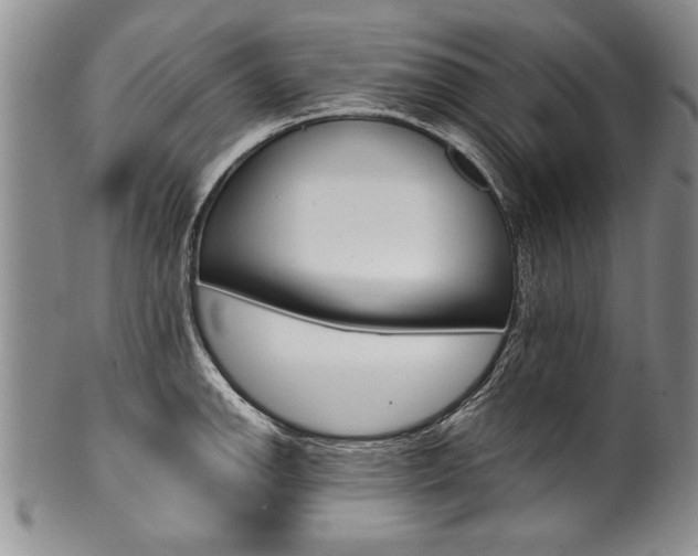 X0000101121142200806261039