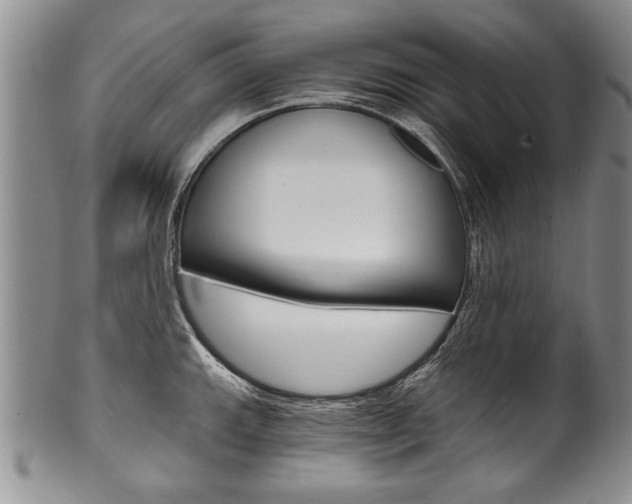 X0000101121143200806261039