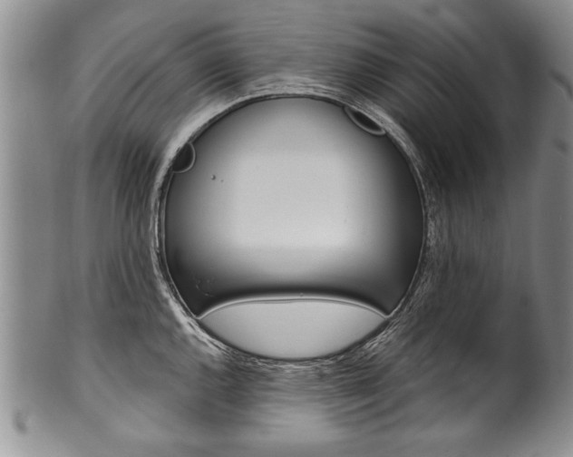 X0000101121144200806261039