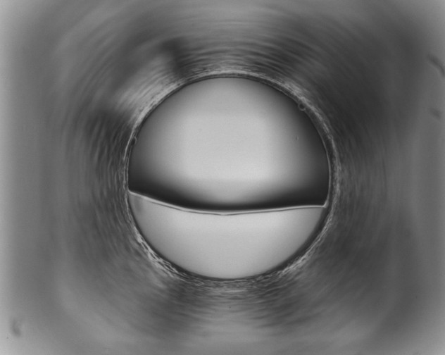 X0000101121145200806261039