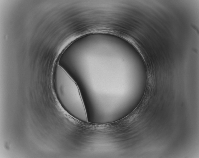 X0000101121147200806261039