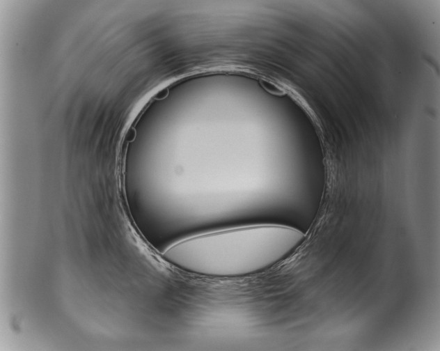 X0000101121148200806261039