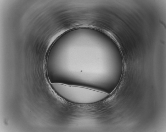 X0000101121149200806261039
