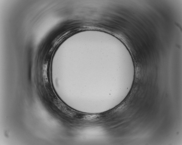X0000101121150200806261039