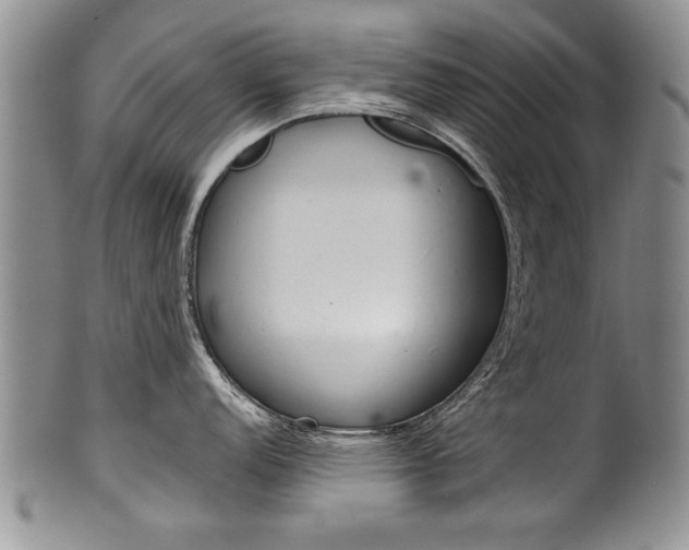 X0000101121152200806261039