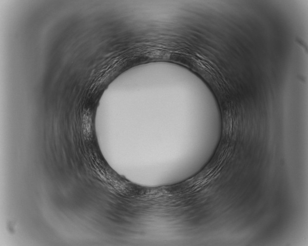 X0000101121154200806261038