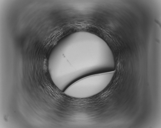 X0000101121156200806261038