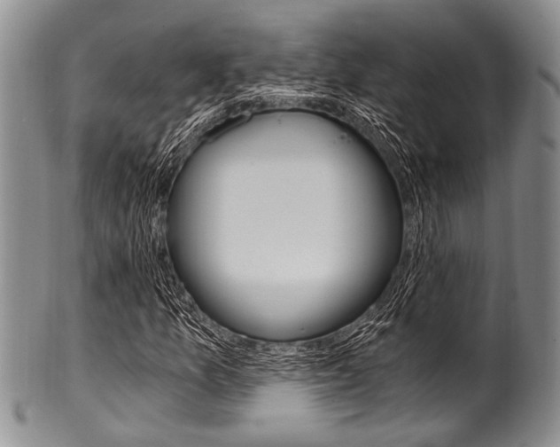 X0000101121157200806261038