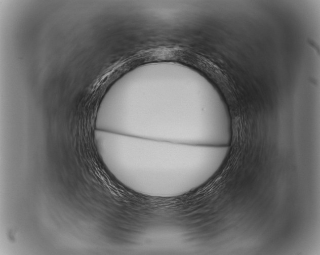 X0000101121158200806261038