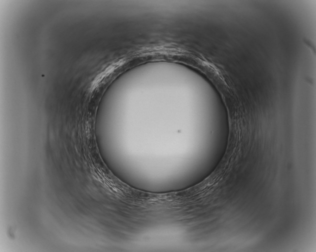 X0000101121159200806261038