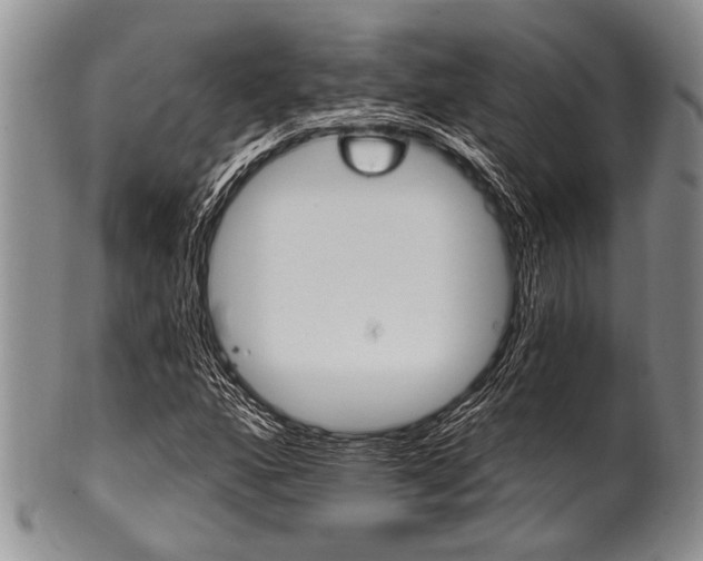 X0000101121160200806261038