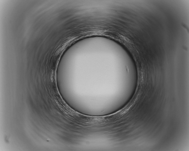 X0000101121161200806261038