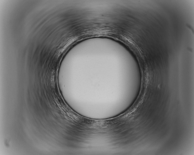 X0000101121162200806261038