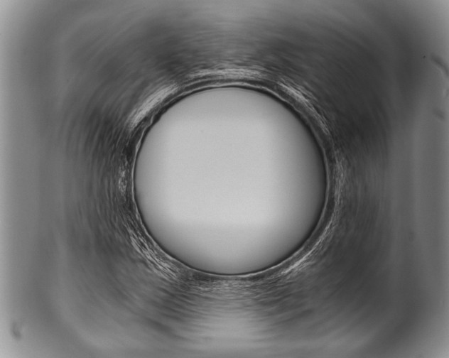 X0000101121163200806261038