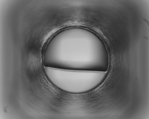 X0000101121167200806261038