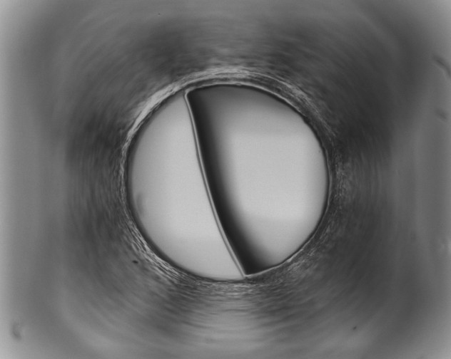 X0000101121168200806261038