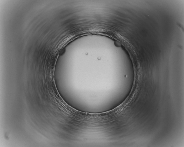 X0000101121169200806261038