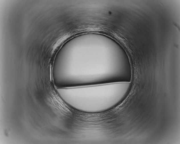 X0000101121171200806261038