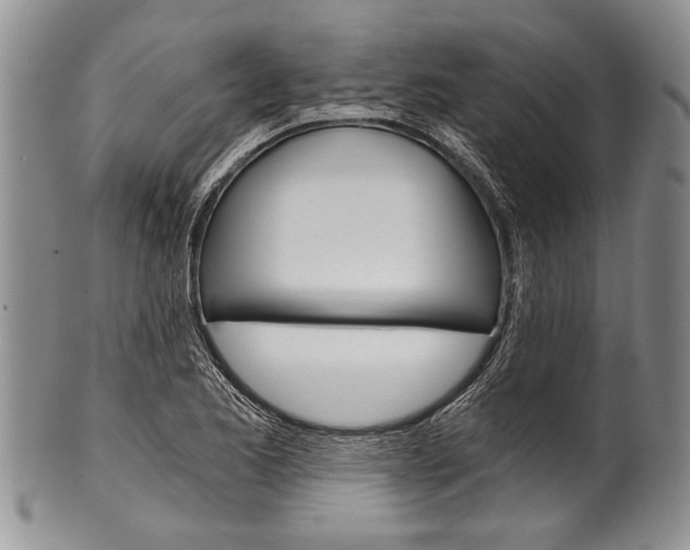 X0000101121173200806261038