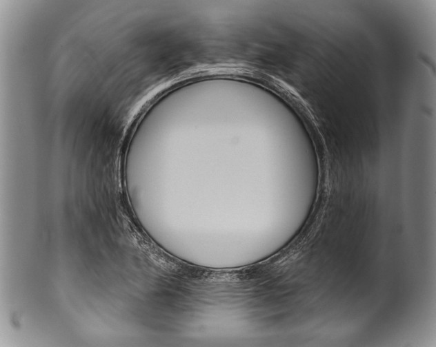 X0000101121174200806261038