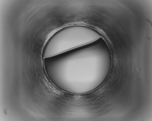 X0000101121176200806261038