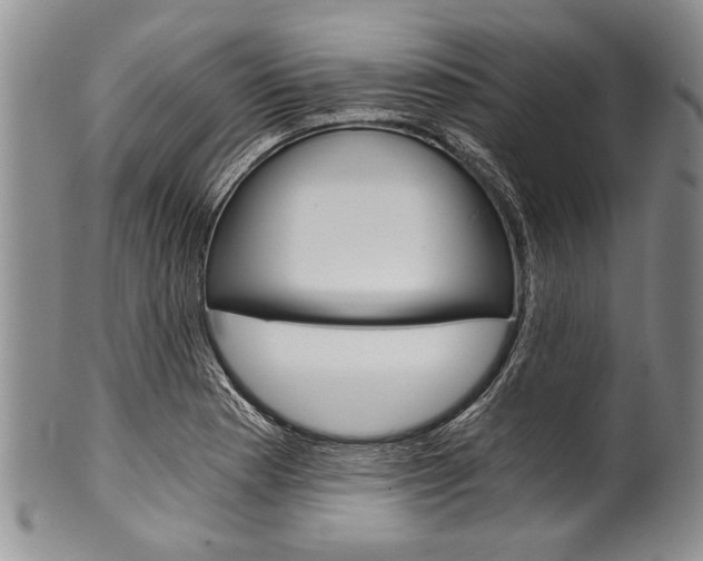 X0000101121177200806261038