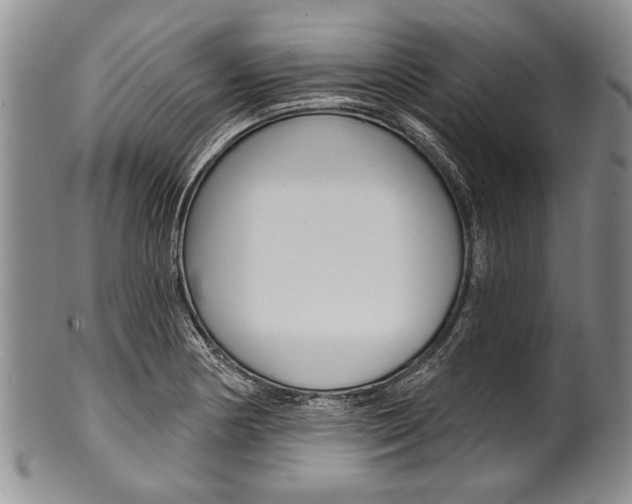 X0000101121178200806261038