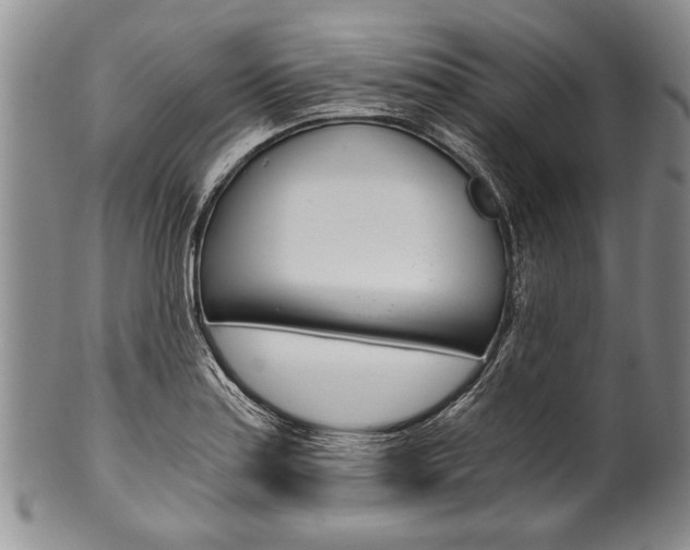 X0000101121179200806261038