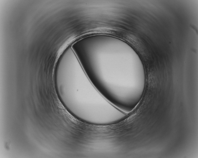 X0000101121180200806261038
