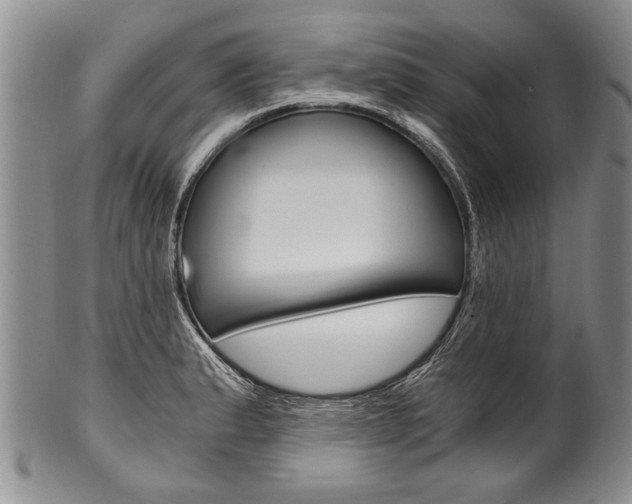 X0000101121183200806261038