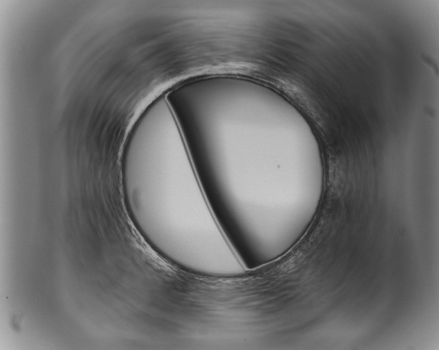 X0000101121184200806261038