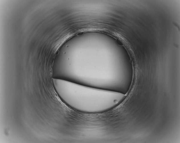 X0000101121185200806261038